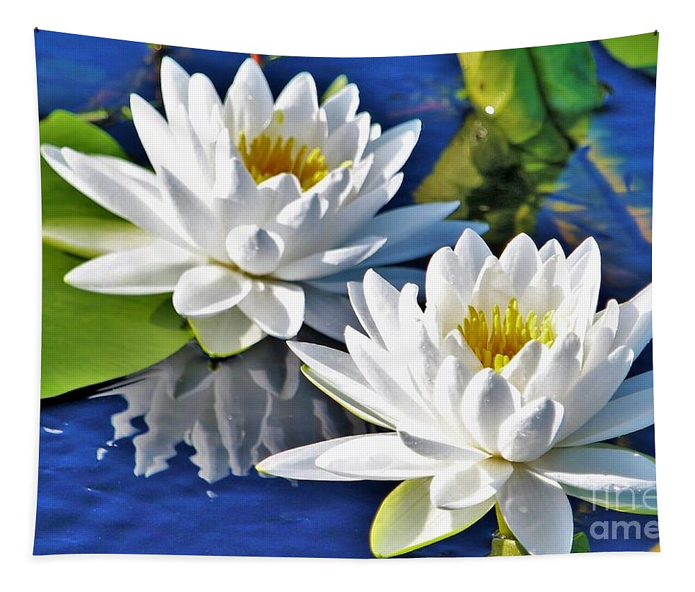 Water Lilies Tapestry featuring the photograph White Water Lilies by Joanne Carey
