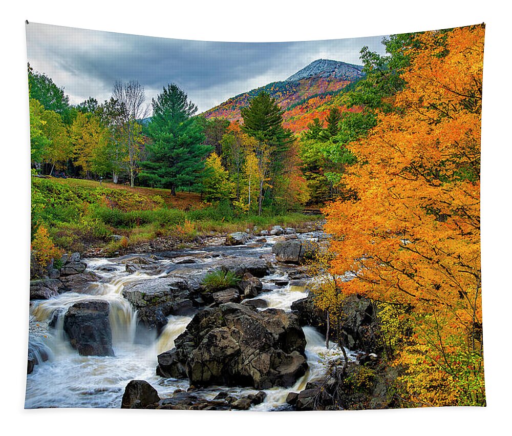 Whiteface Mountain And The Ausable River Tapestry featuring the photograph Whiteface Mountain And The Ausable River by Mark Papke