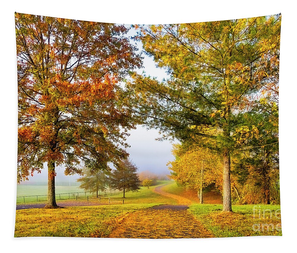 Autumn Tapestry featuring the photograph Whitetop Creek Park by Shelia Hunt