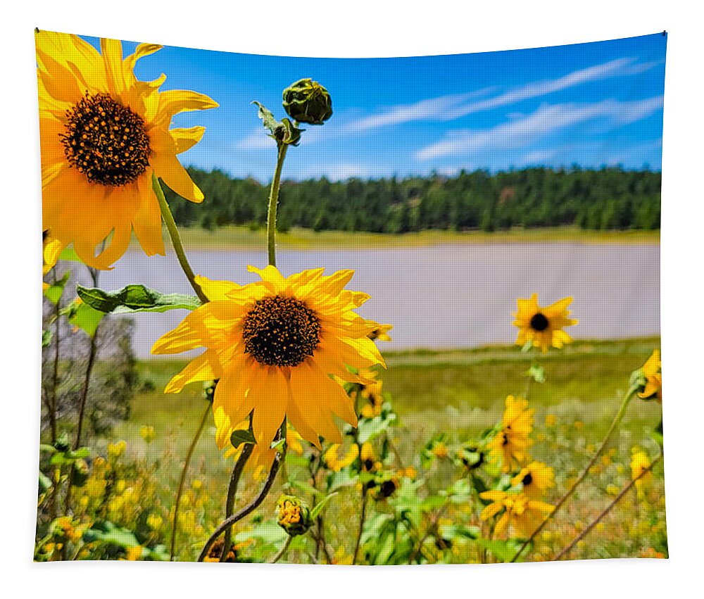 Lake Mary Tapestry featuring the photograph Wild About Sunflowers at Lake Mary by Bonny Puckett