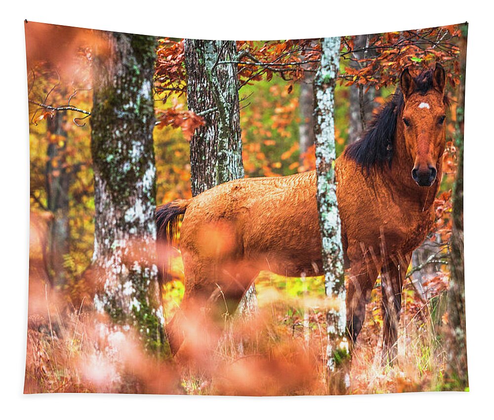 Animals Tapestry featuring the photograph Wild by Evgeni Dinev