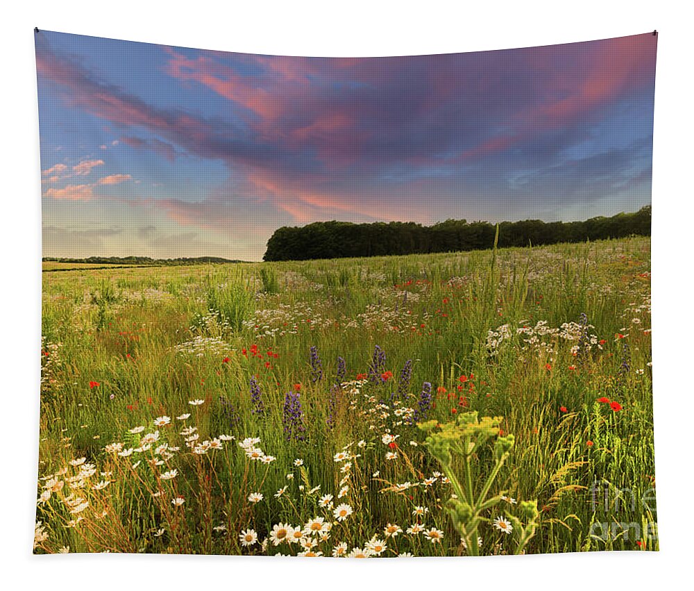 Norfolk Tapestry featuring the photograph Wild flower meadow sunset landscape in England by Simon Bratt