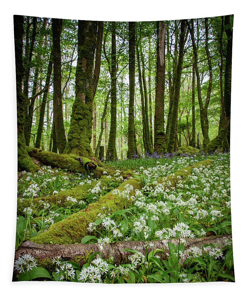 Ross Island Tapestry featuring the photograph Wild Garlic Ross Island I by Mark Callanan
