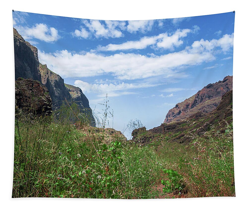 Mountains Tapestry featuring the photograph Wild grasses in the Masca gorge by Sun Travels