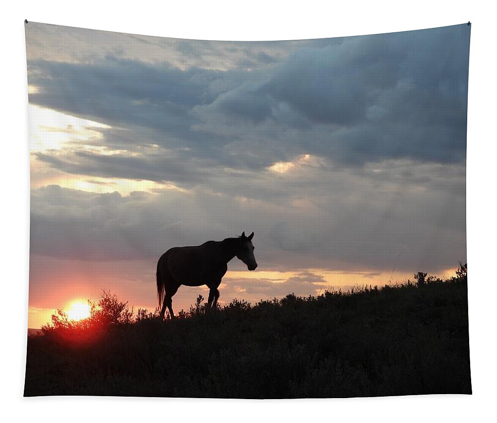 Wild Horse Tapestry featuring the photograph Wild Horse at Sun Down 2 by Amanda R Wright