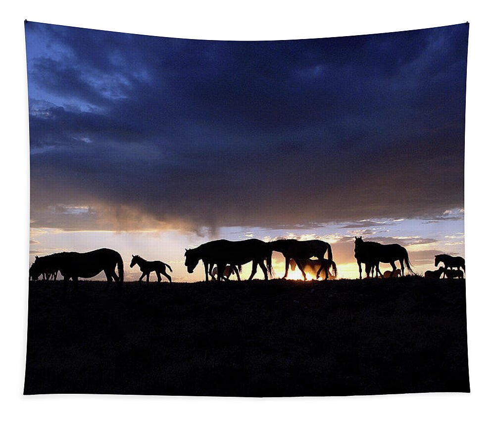 Wild Horse Tapestry featuring the photograph Wild Horse Color Silhouette by Dirk Johnson