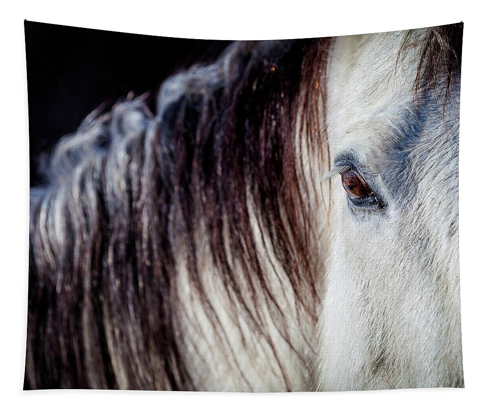 Horse Tapestry featuring the photograph Wild Horse No. 4 by Craig J Satterlee