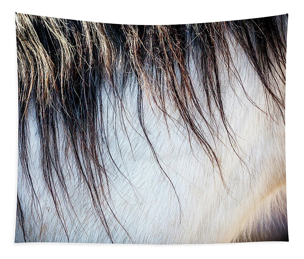 I Love The Beauty Of The Outdoors And Its Natural Wildlife. This Wild Horse Was Shot In The Pryor Mountain Wild Horse Range. Tapestry featuring the photograph Wild Horse No. 5 by Craig J Satterlee