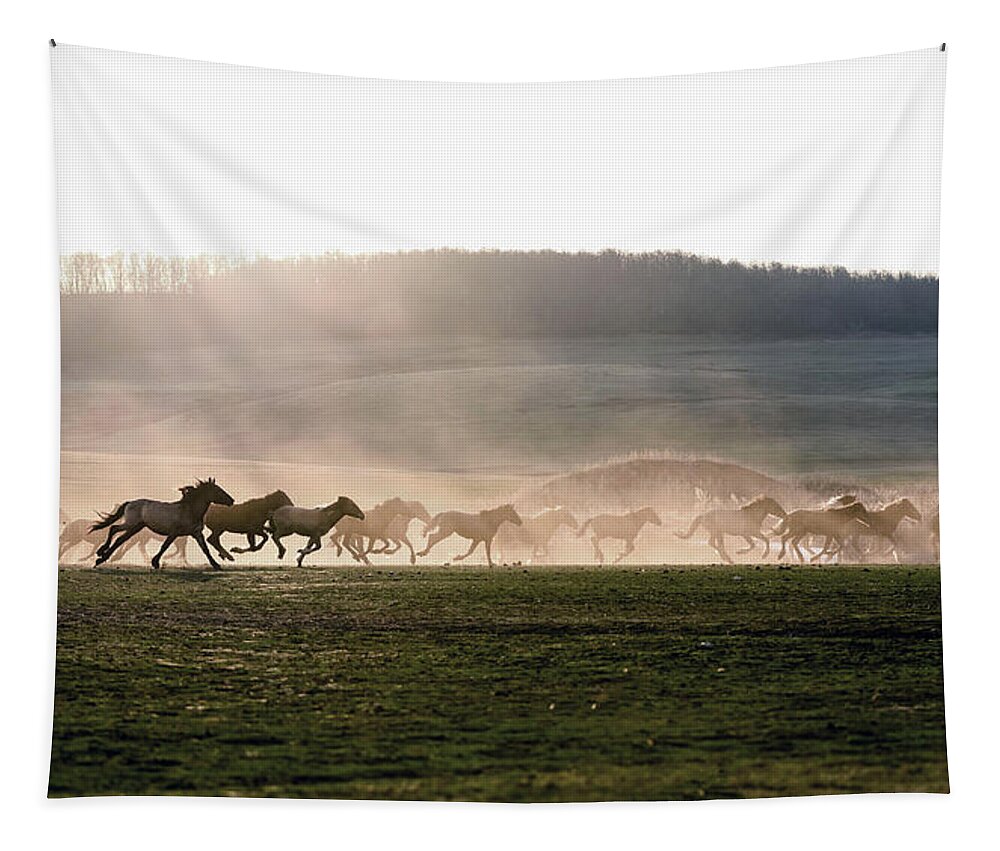 Wild Horses Tapestry featuring the photograph Wild Horse run in Sunset by John Williams