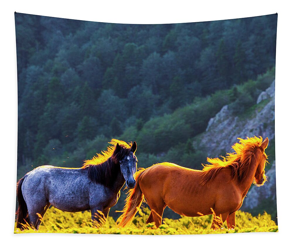 Balkan Mountains Tapestry featuring the photograph Wild Horses by Evgeni Dinev