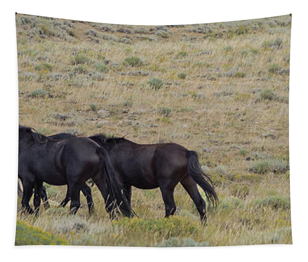 Horse Tapestry featuring the photograph Wild Horses by Laura Terriere
