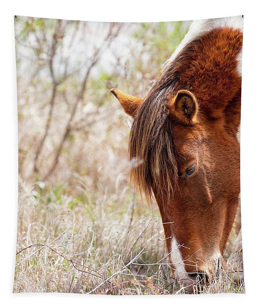 Farm Horses Tapestry featuring the photograph Wild Pinto - Spotted Horse by Rehna George