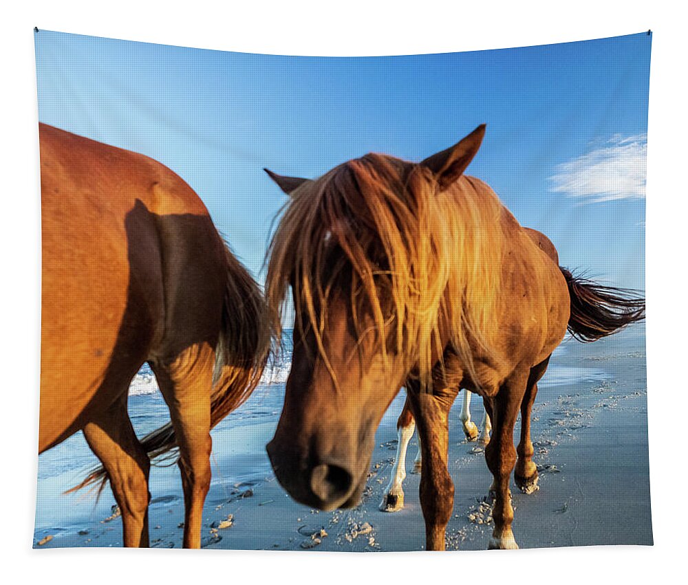 5-places Tapestry featuring the photograph Wild Pony Head Shot Assateague Island by Louis Dallara