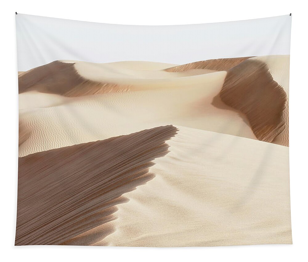 Uae Tapestry featuring the photograph Wild Sand Dunes - Sand Bisque by Philippe HUGONNARD