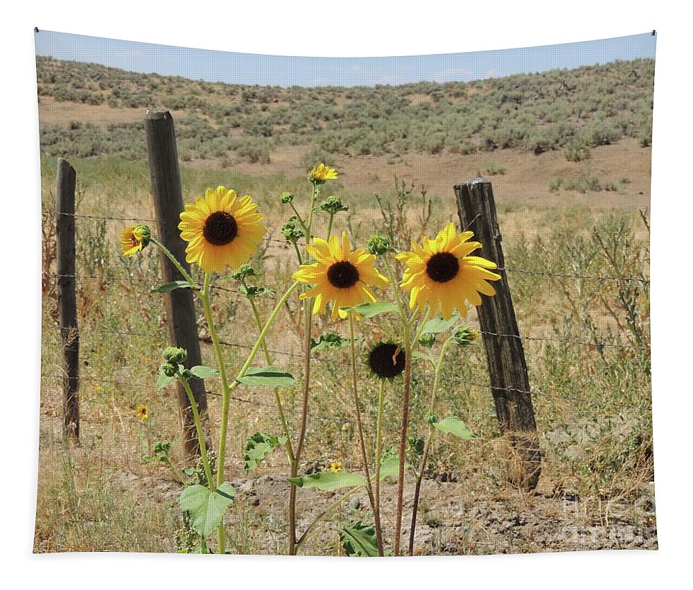 Flowers Tapestry featuring the photograph Wild Sunflowers by Julie Rauscher