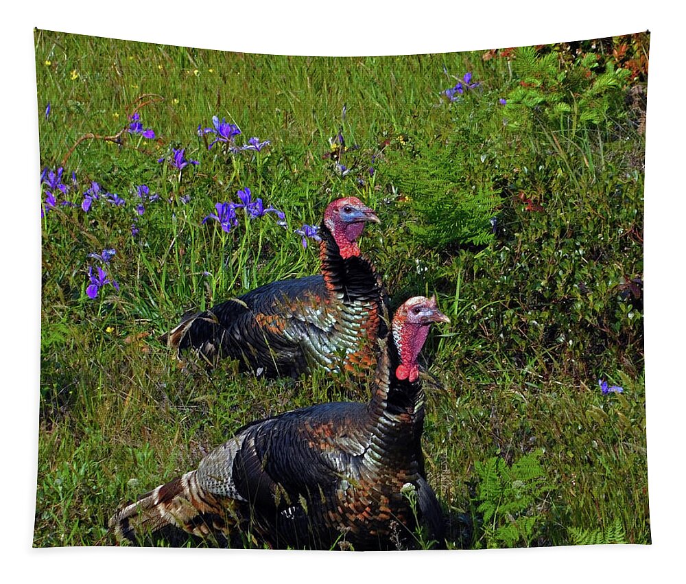 Turkey Tapestry featuring the photograph Wild Turkey by Carl Moore
