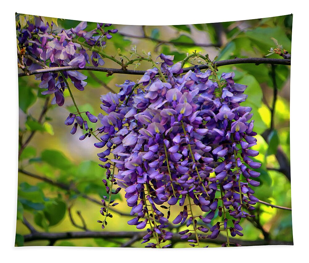 Spring Tapestry featuring the photograph Wild Wisteria by Suzanne Stout