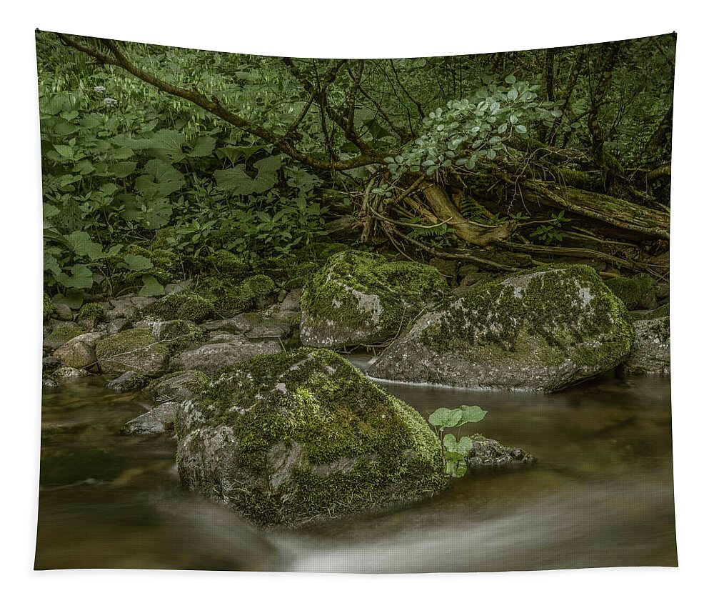 Black Forest Tapestry featuring the photograph Wilde Gutach I by Alexander Kunz