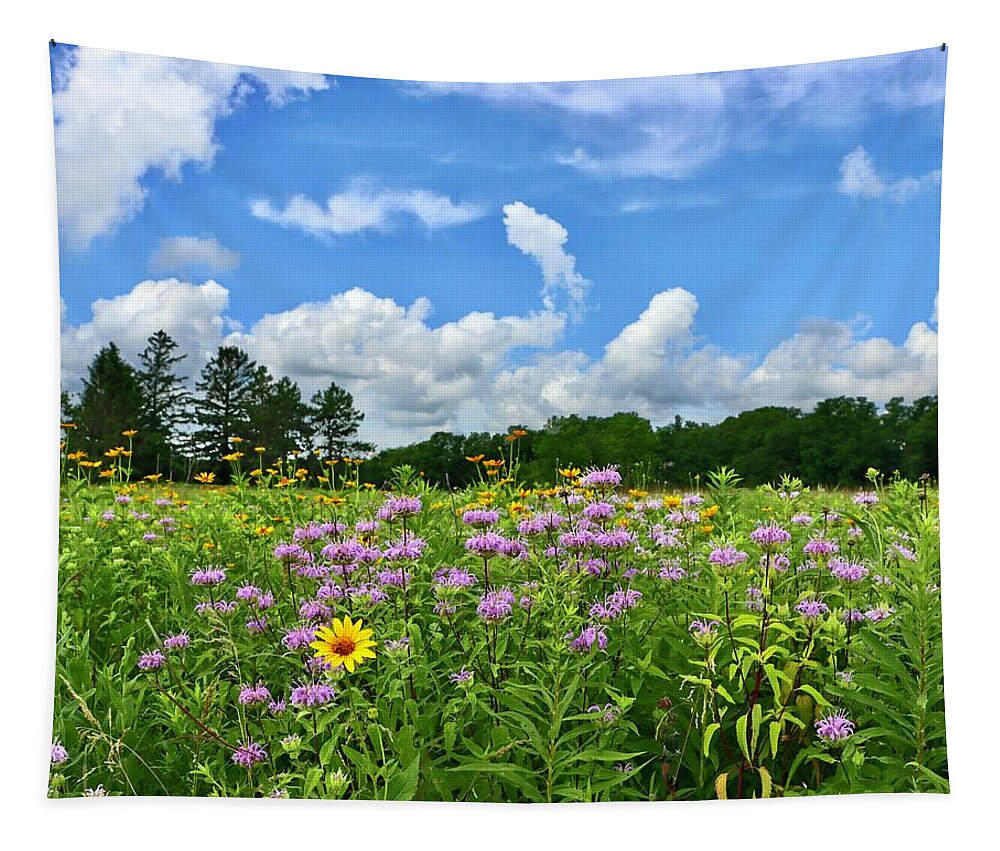 Wildflower Tapestry featuring the photograph Wildflower Glory by Sarah Lilja