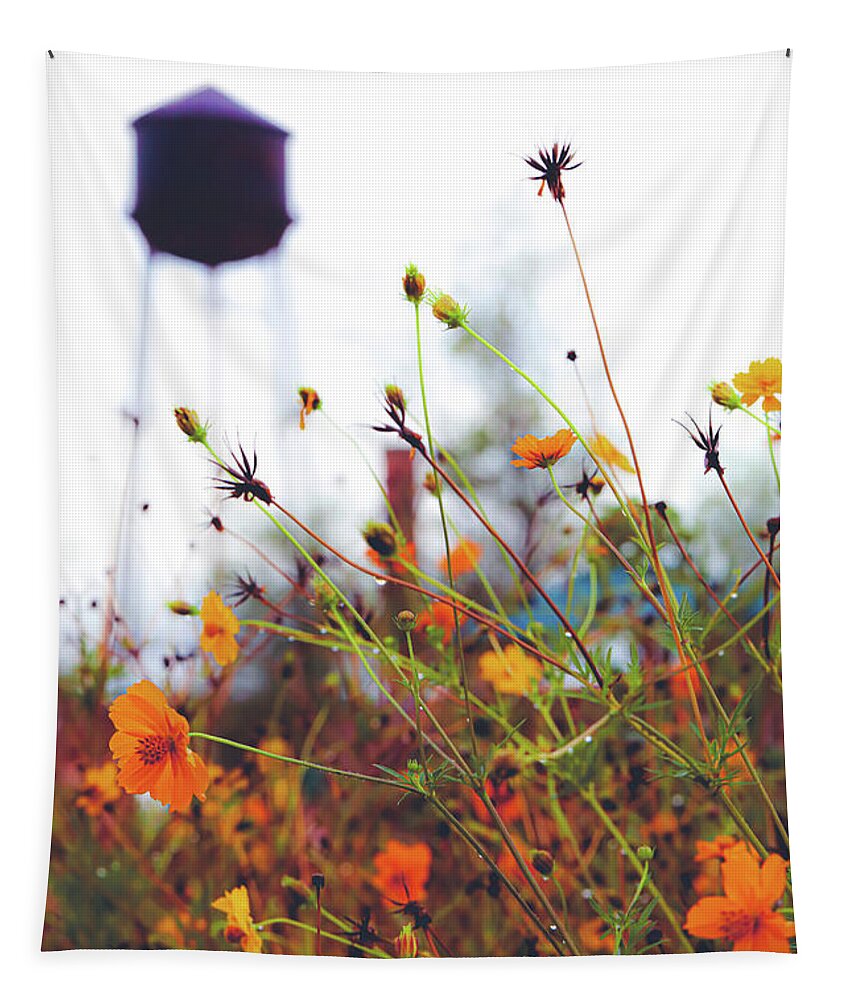 Mountain Tapestry featuring the photograph Wildflower Medley by Go and Flow Photos