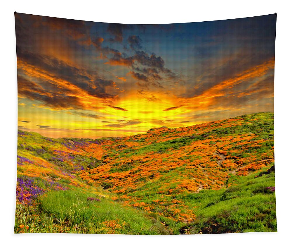 Wildflower Tapestry featuring the photograph Wildflower Sunset by Ally White