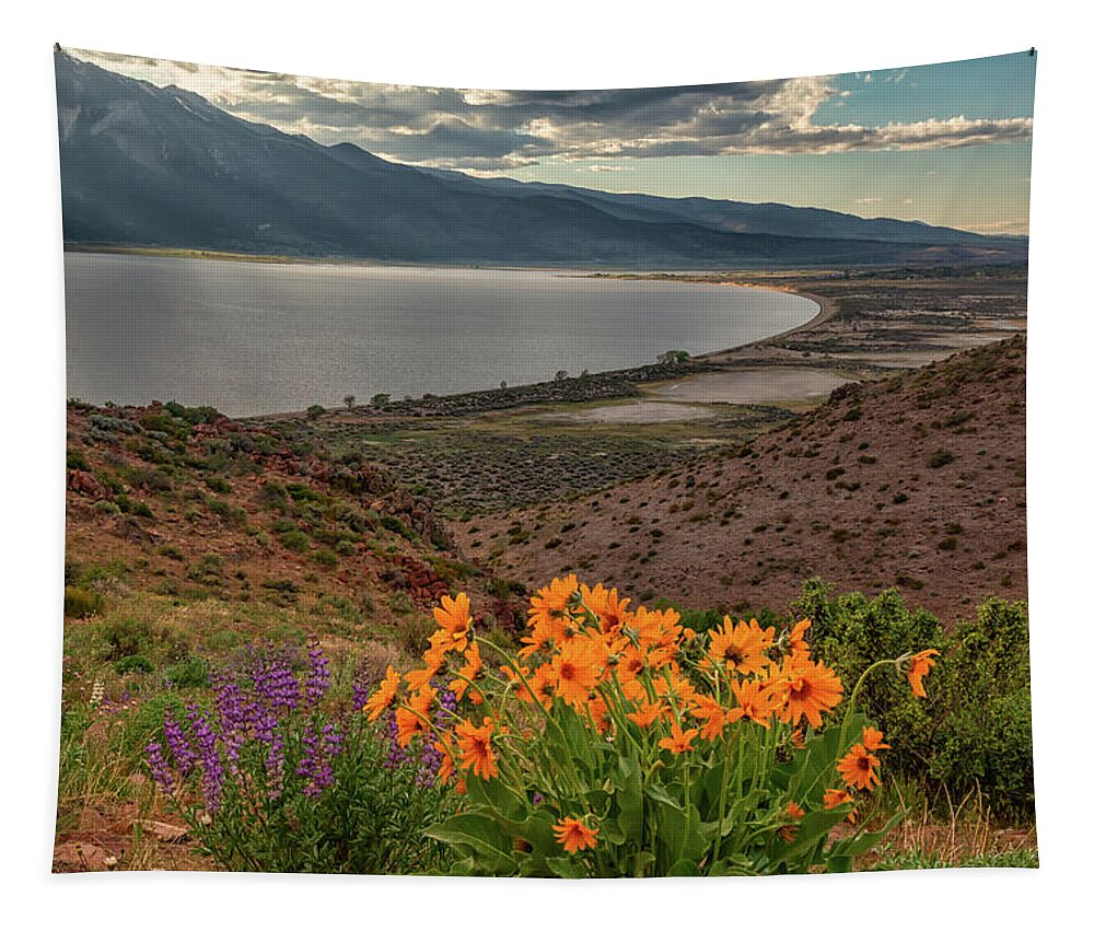 Nevada Tapestry featuring the photograph Wildflowers Above Big Washoe by Marc Crumpler