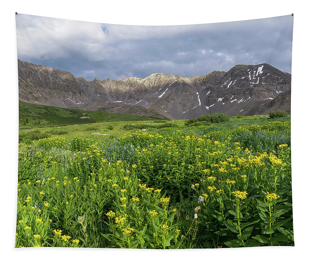 Breckenridge Tapestry featuring the photograph Wildflowers in Mayflower Gulch by Aaron Spong