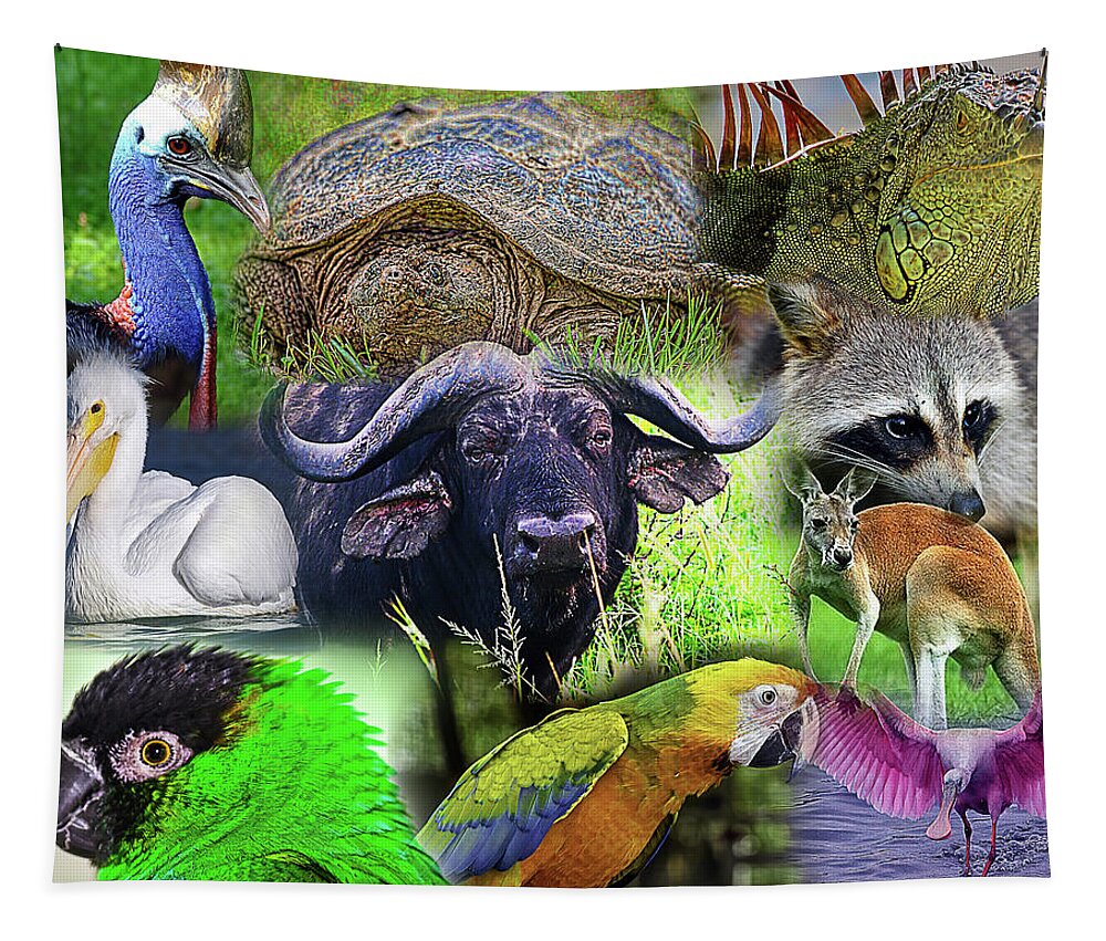 Wildlife Tapestry featuring the photograph Wildlife Collage by Bill Barber