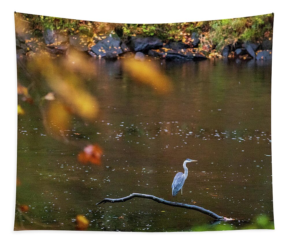 Nature Photography Tapestry featuring the photograph Wildlife Photography - Blue Heron Birds by Amelia Pearn