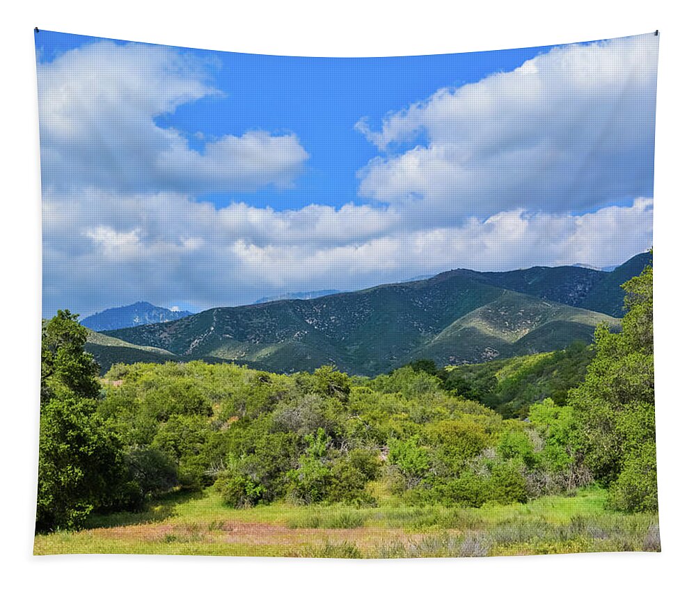 Wildwood Canyon State Park Tapestry featuring the photograph Wildwood Canyon State Park by Kyle Hanson