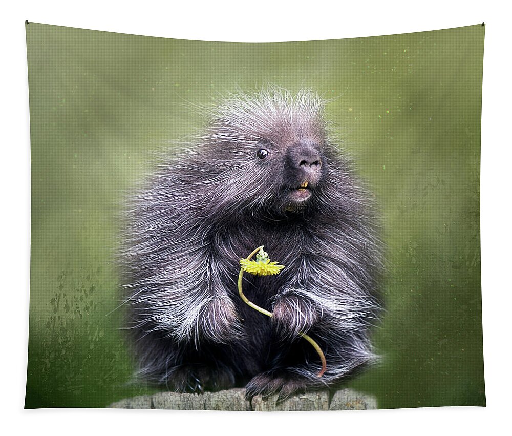Porcupine Tapestry featuring the digital art Will You Be Mine? by Nicole Wilde