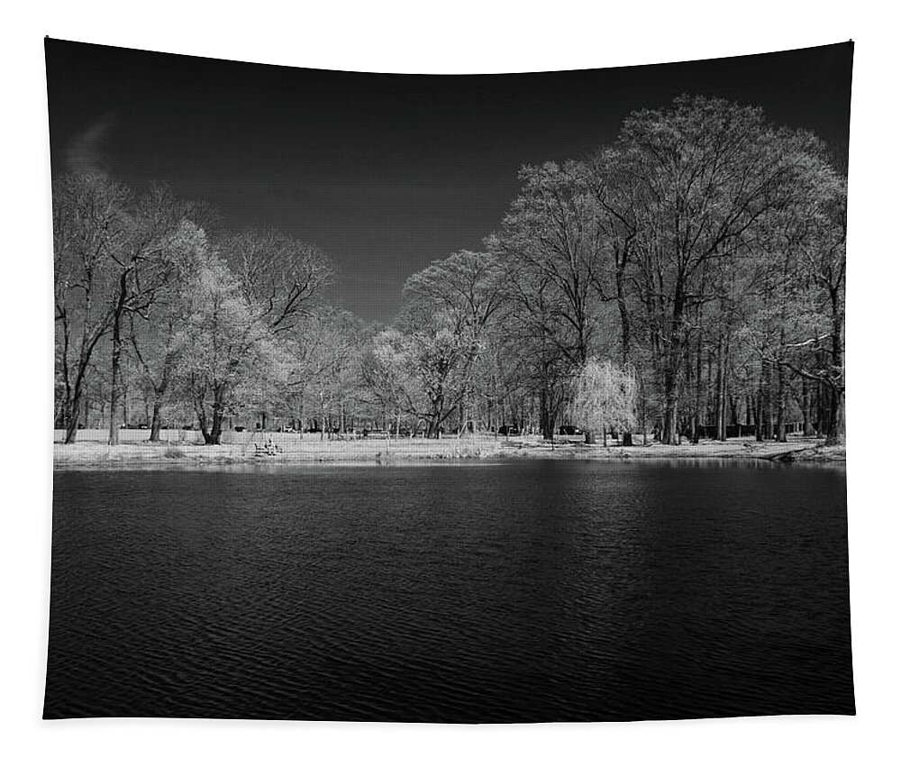 Trees Tapestry featuring the photograph Willow tree at the pond by Alan Goldberg
