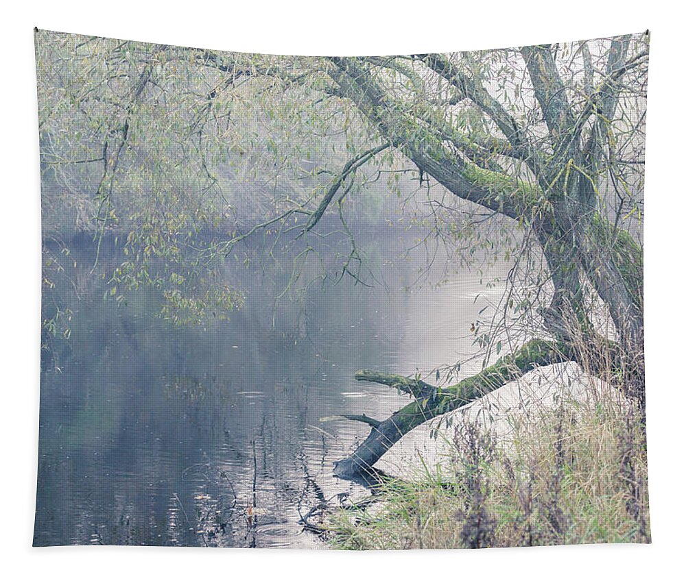 Willow Tree Tapestry featuring the photograph Willow tree overhanging the river on a misty day by Anita Nicholson