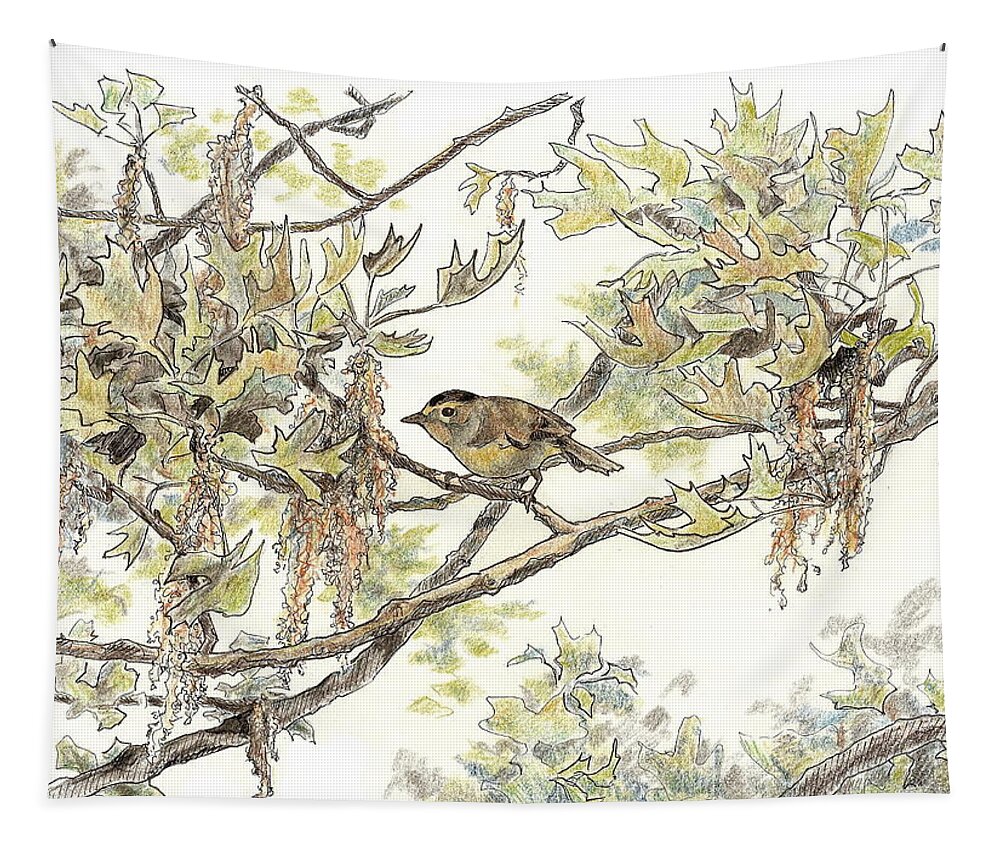 Bird Tapestry featuring the drawing Wilson's Warbler by Abby McBride