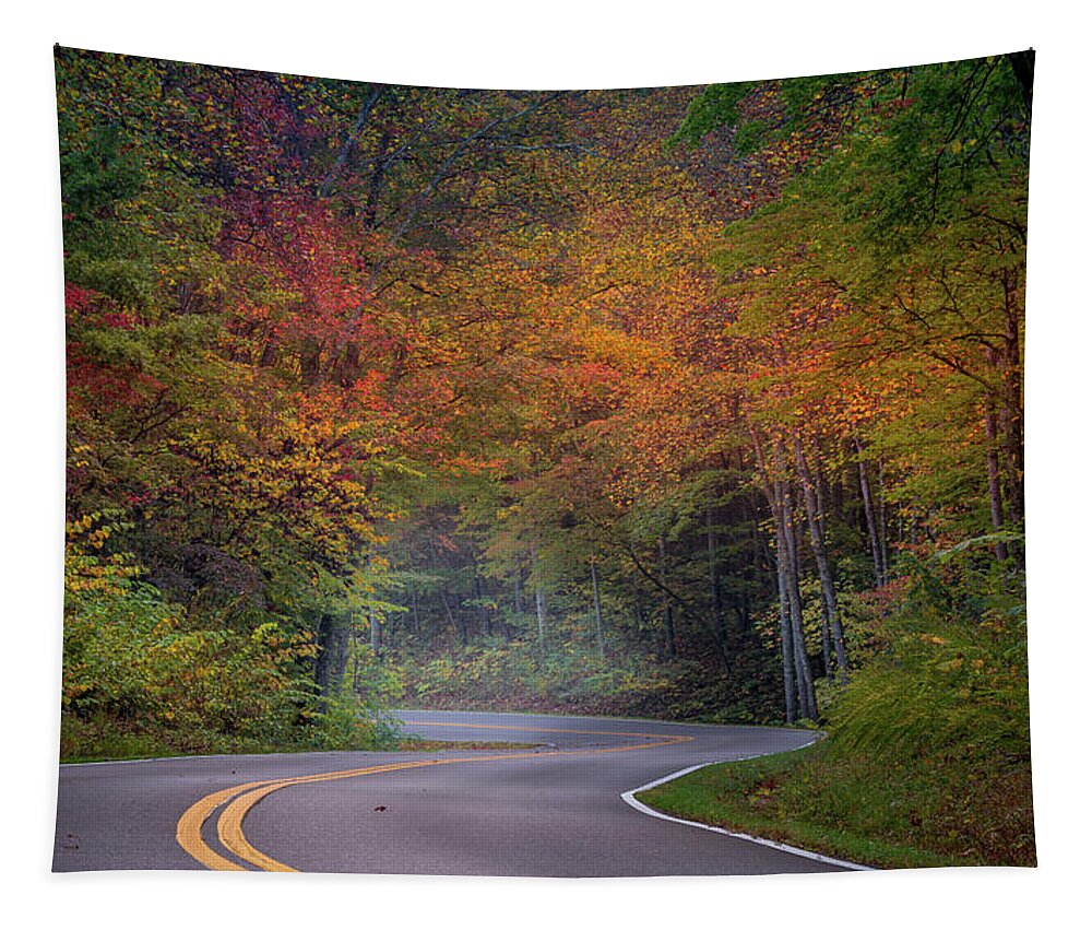 Fall Colors Tapestry featuring the photograph Winding Road by Darrell DeRosia