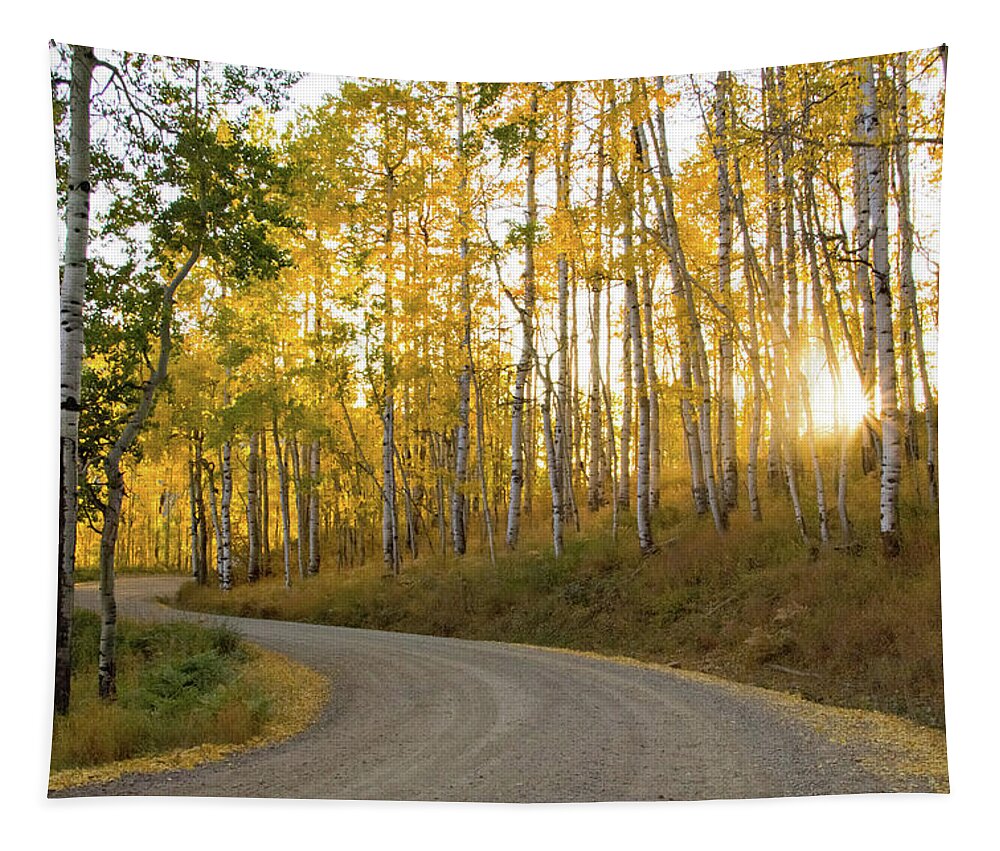 Colorado Tapestry featuring the photograph Winding Road by Wesley Aston