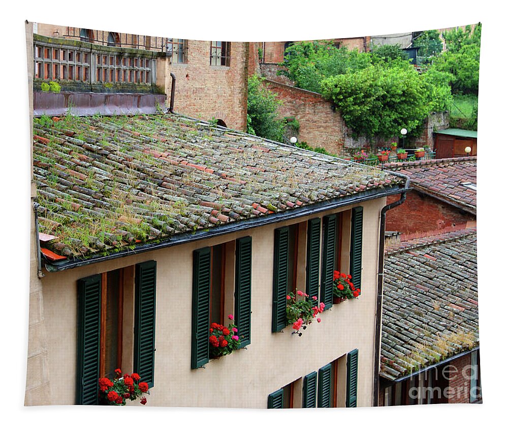 Window Boxes Tapestry featuring the photograph Window Boxes and Tile Roofs 0919 by Jack Schultz