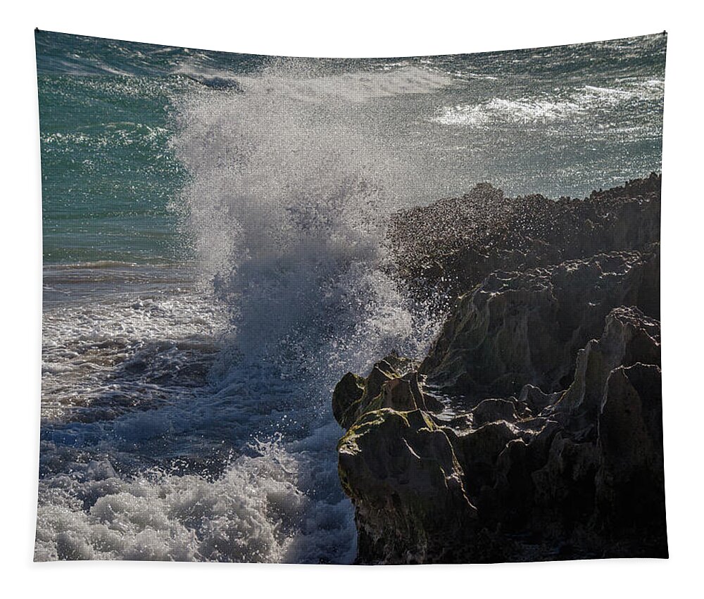 Windy Tapestry featuring the photograph Windy Day by Les Greenwood