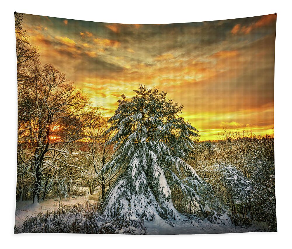 Sunset Tapestry featuring the photograph Winter 34a1504 by Greg Hartford
