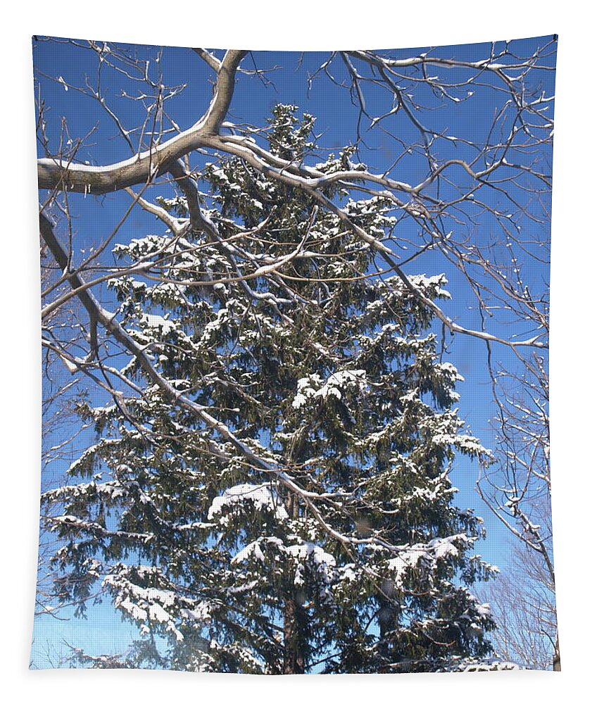 Winter Tapestry featuring the photograph Winter 5 by Jeffrey Peterson