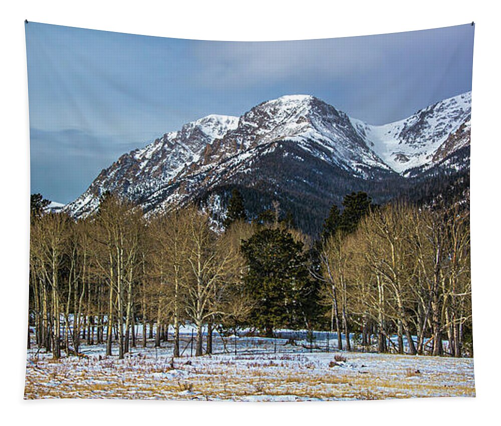 Rocky Mountain National Park Tapestry featuring the photograph Winter Aspens by Douglas Wielfaert