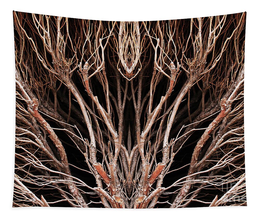 Branches; Shrubbery; Brown; Symmetry; Close-up; Tapestry featuring the photograph Winter Branches by Tina Uihlein