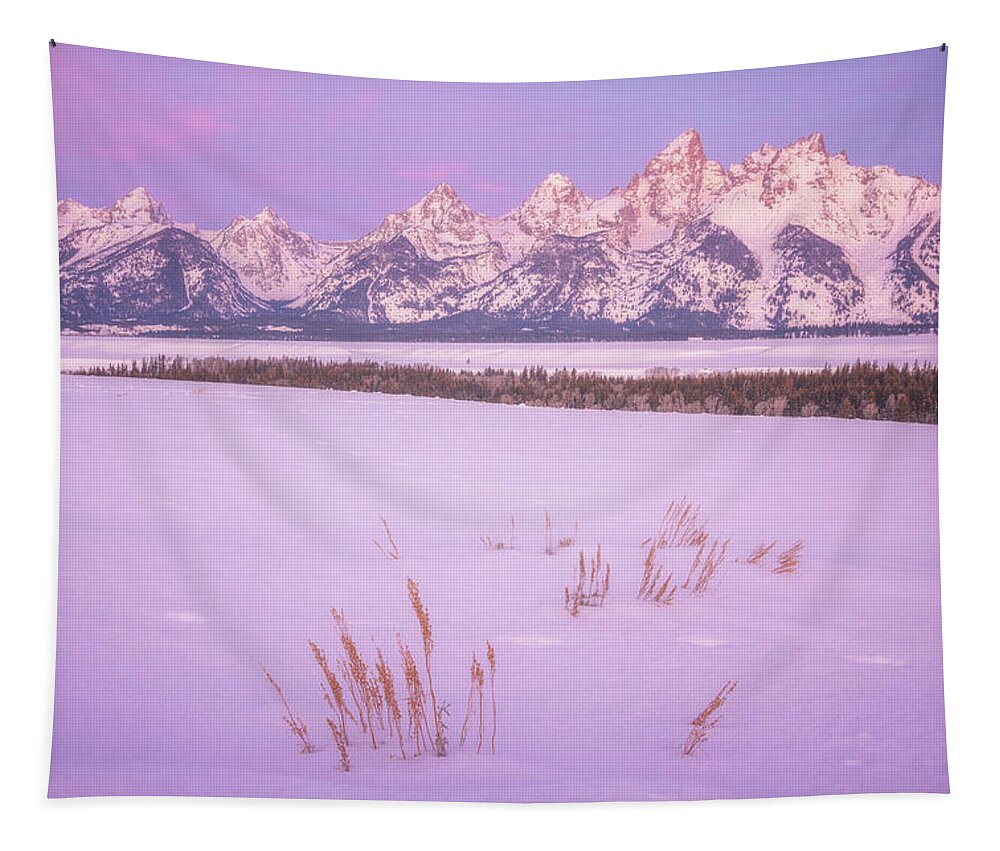 Snow Tapestry featuring the photograph Winter Calm by Darren White