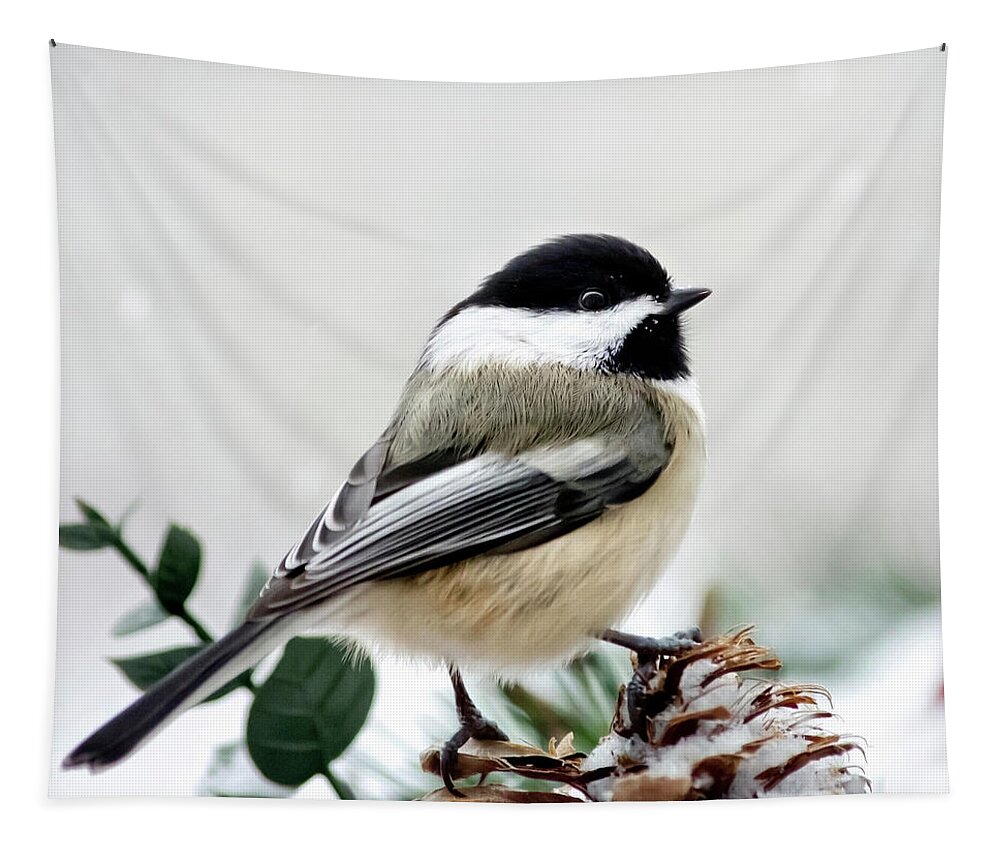Winter Tapestry featuring the photograph Winter Chickadee Square by Christina Rollo