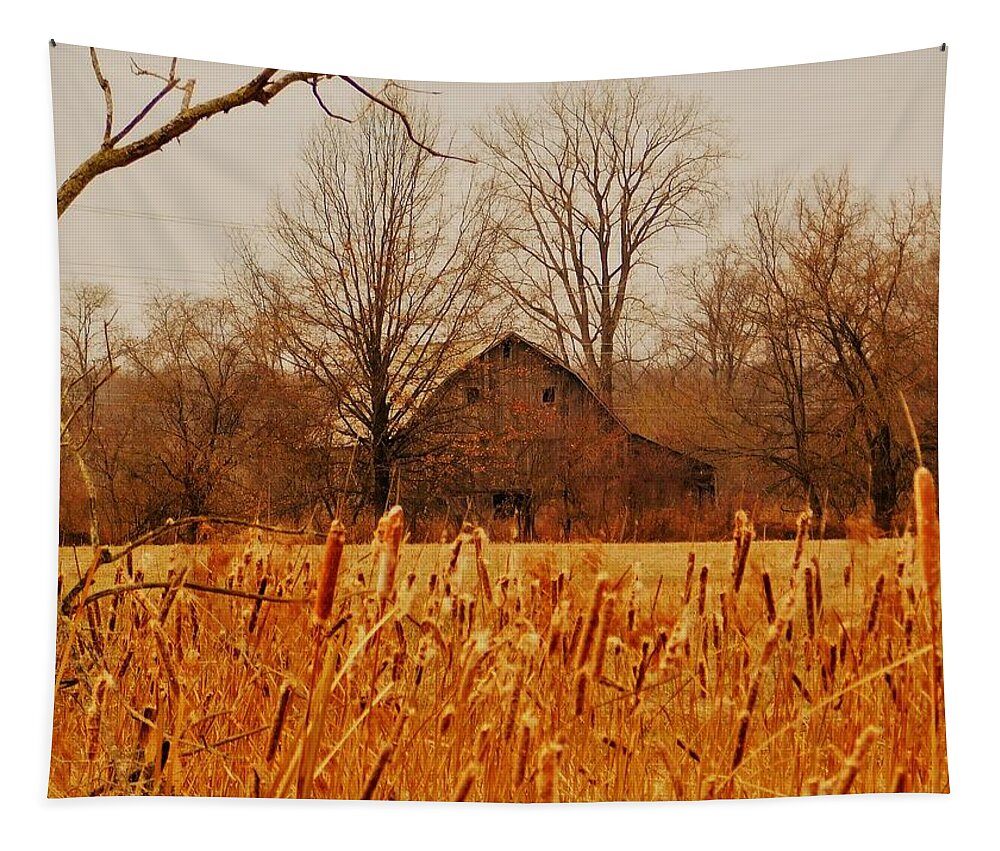 - Winter Farm - New Albany Oh Tapestry featuring the photograph - Winter Farm - New Albany OH by THERESA Nye