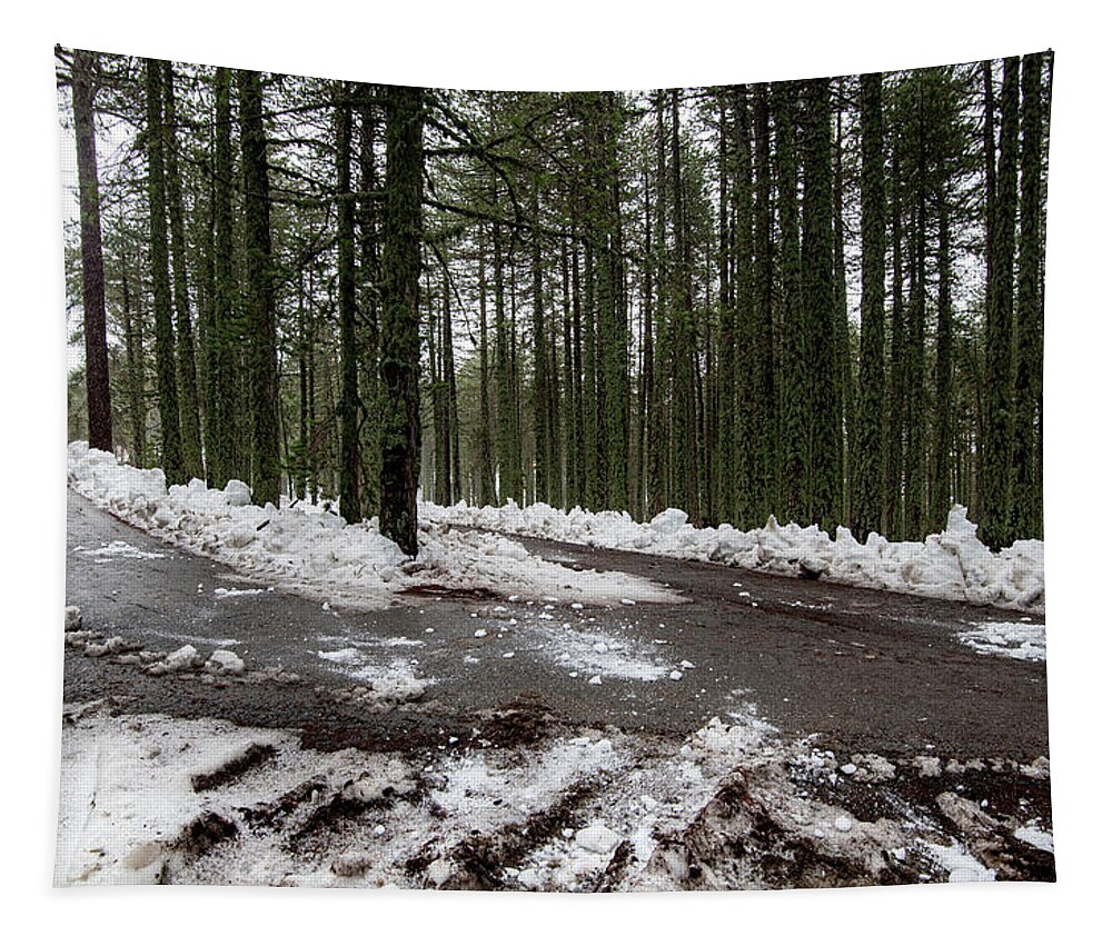 Wintertime Tapestry featuring the photograph Winter forest landscape with snow on the ground by Michalakis Ppalis
