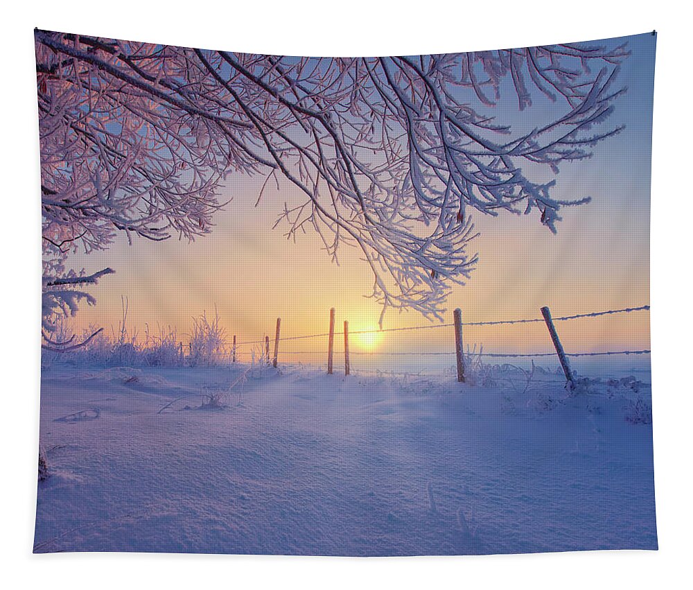 Winter Tapestry featuring the photograph Winter Fresh by Dan Jurak