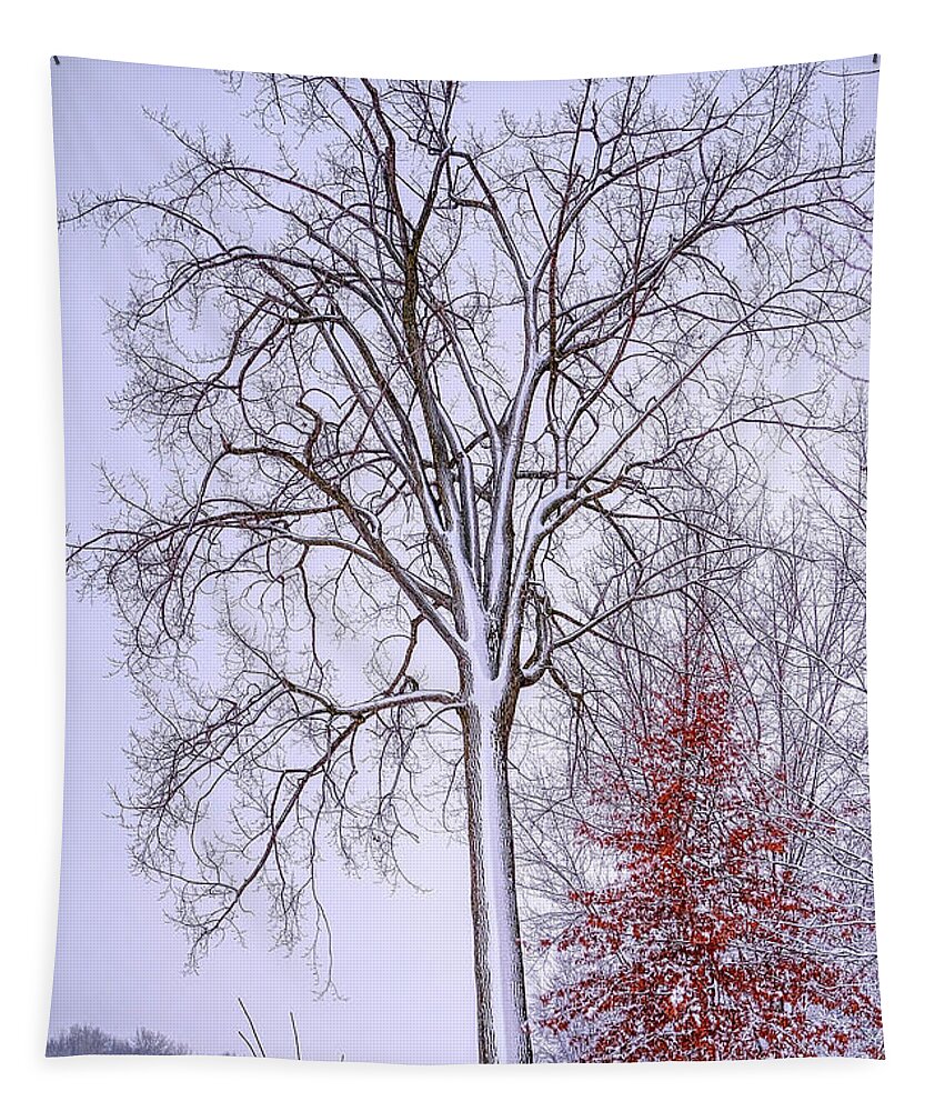 White Tapestry featuring the photograph Winter, i don't wanna a lose red by Carl Marceau