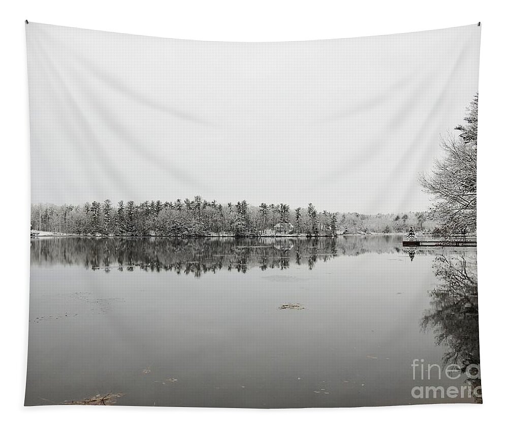 Winter Landscapes Tapestry featuring the photograph Winter in New Hampshire by Eunice Miller