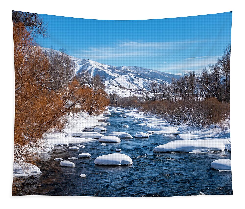 Steamboat Tapestry featuring the photograph Winter In Steamboat by Michael Smith